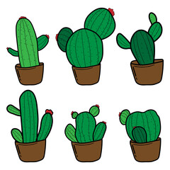 Set of drawings. Cactus vector illustration.