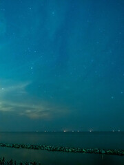 Sea view near mangrove forest with man made wooden barrier for wave protection, under starry nigh...