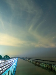 Sea view near mangrove forest with man made wooden barrier for wave protection, under starry nigh...