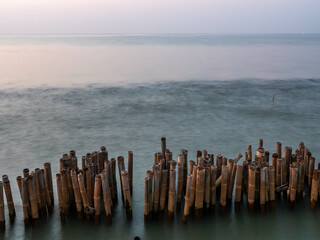 Sea view near mangrove forest with man made wooden barrier for wave protection, under morning...