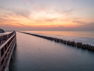 Sea view near mangrove forest with man made wooden barrier for wave protection, under morning...