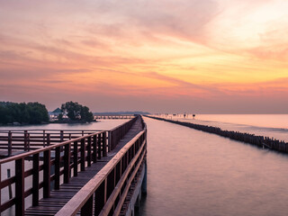 Fototapeta na wymiar Sea view near mangrove forest with man made wooden barrier for wave protection, under morning twilight colorful sky in Bangkok, Thailand