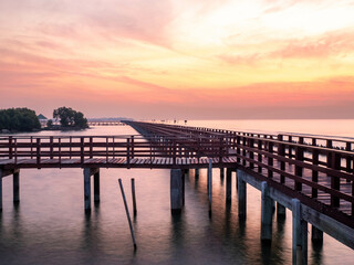 Sea view near mangrove forest with man made wooden barrier for wave protection, under morning...