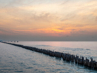 Sea view near mangrove forest with man made wooden barrier for wave protection, under morning twilight colorful sky in Bangkok, Thailand