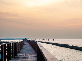 Sea view near mangrove forest with man made wooden barrier for wave protection, under morning...