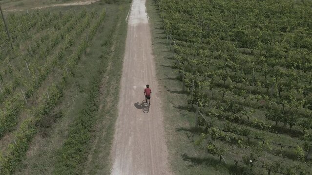 In bici gravel in toscana nel vigneto