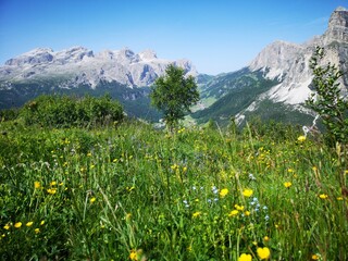 Südtirol Panorama. Mit Alta Badia, Seiser Alm, Corvara - 631235822
