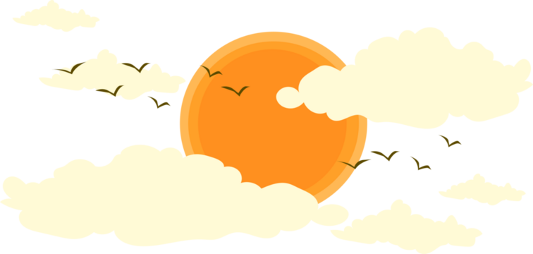 the sun with many birds