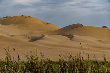 Fototapeta na wymiar Oasis, dunas y medanos en Pisco, Ica, Perú. Campamento