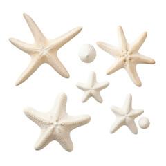 White starfish of different kinds separated by transparent backround, summer design with subtle shadows, top view