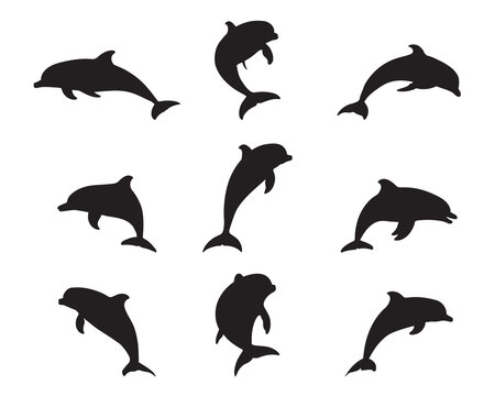 Silhouette dolphin collection - vector illustration