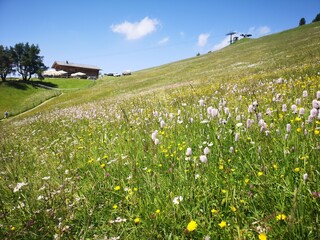 Südtirol Panorama. Mit Alta Badia, Seiser Alm, Corvara - 631246417