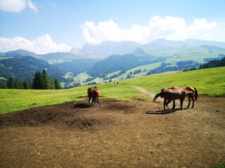 Südtirol Panorama. Mit Alta Badia, Seiser Alm, Corvara - 631248687