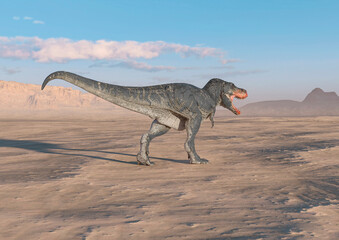 tyrannosaurus is goin away on sunset desert side view