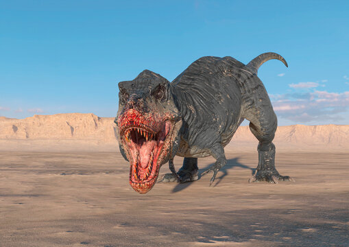 tyrannosaurus is hunting down on sunset desert
