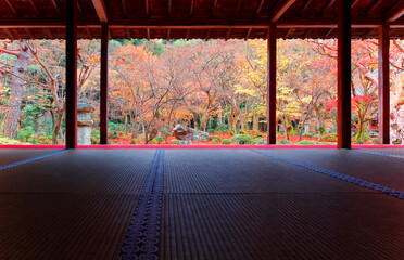 Autumn scenery of a beautiful Japanese Garden in Kyoto Japan, with view through the sliding doors...