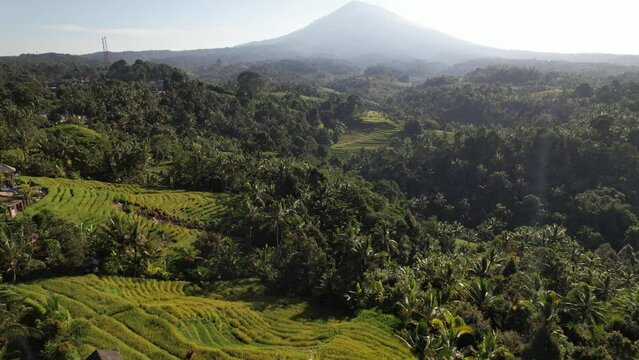 Belimbing Rice terraces at Bali Island, Indonesia - DJI Mavic Drone slow long straight flight 3