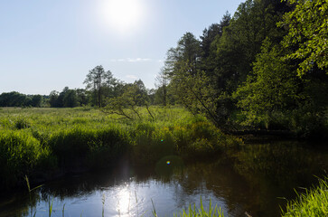 Obraz premium a small river in eastern Europe in the summer