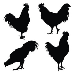 Black Chicken or Hen Silhouettes Vector Illustration Pack