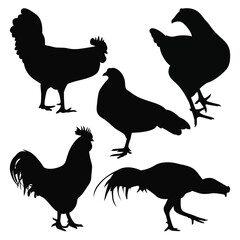 Black Chicken or Hen Silhouettes Vector Illustration Pack