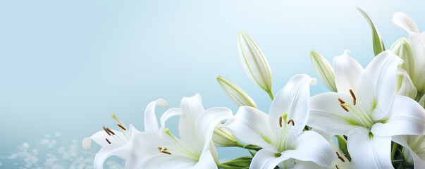 Fototapeta na wymiar white lilies flowers blank background made with Generative AI