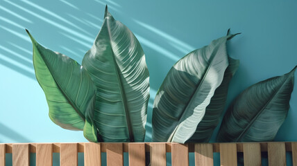 tropical leaf and plant on white wood wall with shadow, generative ai