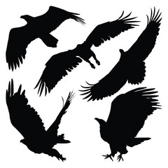 Black Flying Eagle Silhouettes Vector Illustration