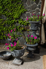 outdoor tubs for the house and verandas for flowers
