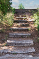 Old stone stairs with green trees and bushes in forest in sunny spring day