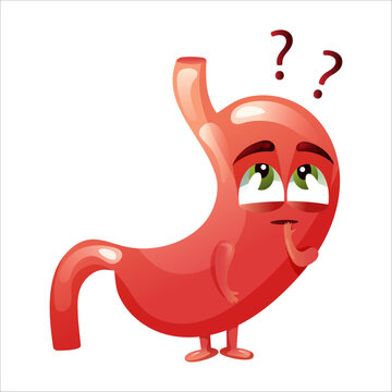 Cartoon stomach character with question mark. Concept choosing healthy food. Internal organ human. Vector illustration.