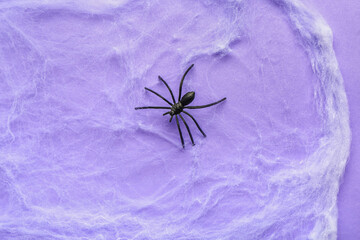 Cobweb with spider for Halloween party on lilac background