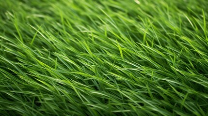 Fototapeta na wymiar a close up view of a green grass field with a blurry background. generative ai