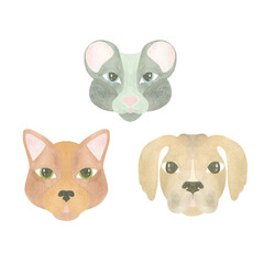Watercolor set of funny animal faces - cat, dog and mouse, highlighted on a white background. Illustration. A set OF ANIMAL FACES. For the design of postcards, logos, textiles, tableware, printing