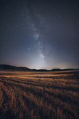 milky way over a field