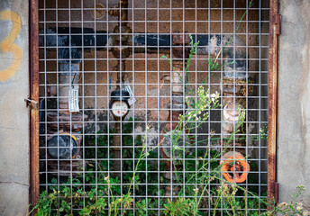 Fototapete bei efototapeten.de bestellen   