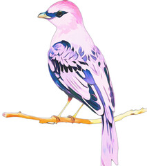Obraz premium generative ai, pink bird isolated on white