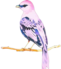 Foto op Canvas generative ai, pink bird isolated on white © Color Addict