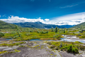 Fototapeta na wymiar Beautiful mountain landscape in the trail for Trolltunga, Norway