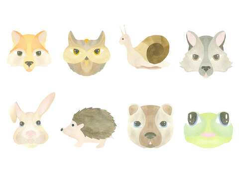 Large watercolor set of faces of wild animals - wolf, fox, owl, snail, hare, hedgehog, frog and bear, highlighted on a white background. Illustration. A set OF ANIMAL FACES.For the design of postcards