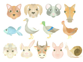 Large watercolor set of pets - cat, dog, mouse, rabbit, fish, snail, horse, cow, sheep, pig, duck, goose and chicken, highlighted on a white background. Illustration. A set OF ANIMAL FACES. For design