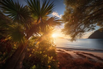 Fototapeta na wymiar Lush summer: sun rays pierce through palm trees on the beach., generative IA