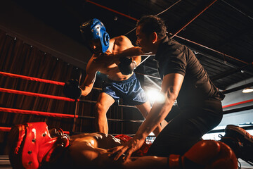 Boxing referee intervene, halting the fight to check fallen competitor after knock out. Intense and...