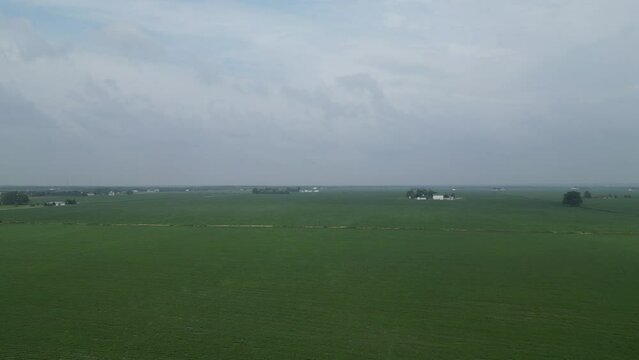 This is a high angle flyover of an Illinois soy field on a cloudy day showing how far the fields stretch and some farm houses in the distance.