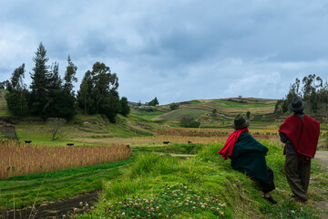 ecuadorian highlands