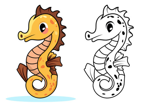 Cute seahorse vector graphic sea horse mascot illustration colored and black and white vector image