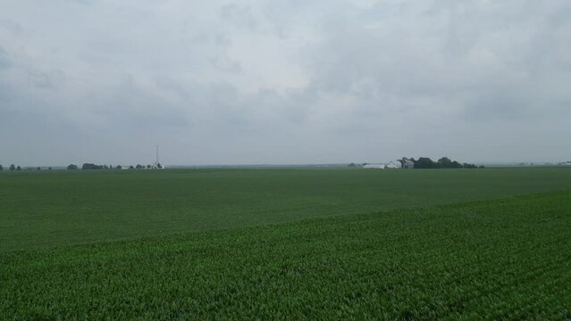 This is a rising shot from a low position above a an Illinois corn field which reveals an expanded view on a cloudy day.