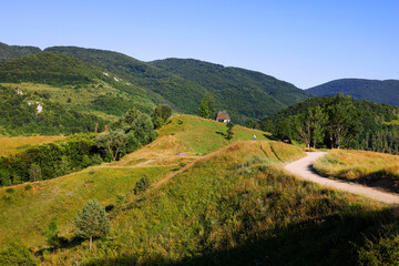 Summer landscape of Apuseni Mountains, Occidental Carpathians, near Dumesti village, Romania, Europe