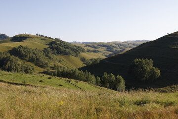 Fototapeta na wymiar Summer landscape of Apuseni Mountains, Occidental Carpathians, near Dumesti village, Romania, Europe 