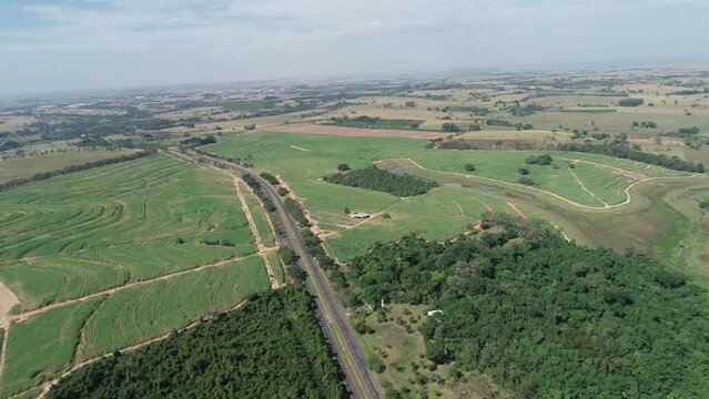 Road between plantations landscape trees Drone SP - 294