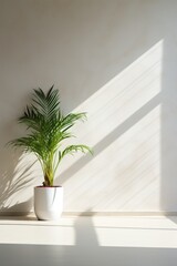 Fototapeta na wymiar Beautiful house plant in the pot on wooden floor set beside the wall with sunbeam and shadow on white empty wall. Vertical background, mockup backdrop. Green houseplant decoration. Products overlay